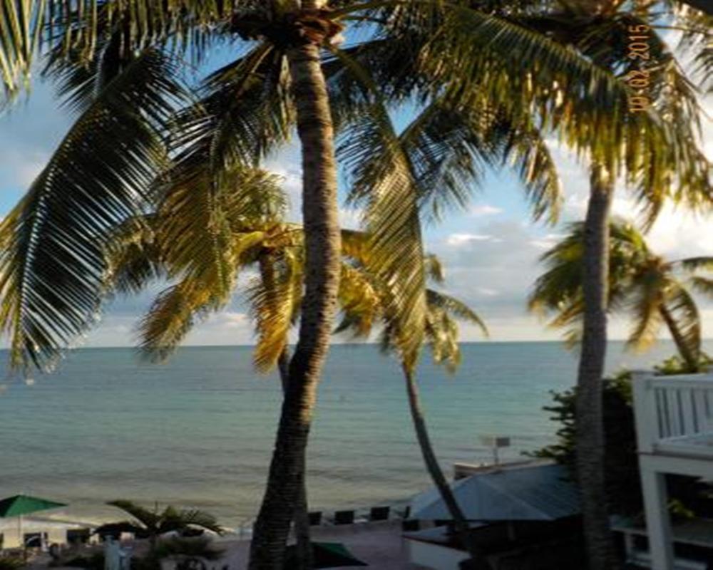 Coconut Beach Resort كي وست المظهر الخارجي الصورة